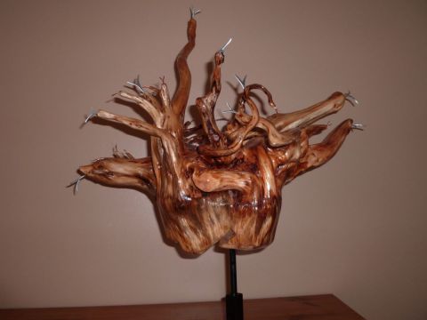 médusa